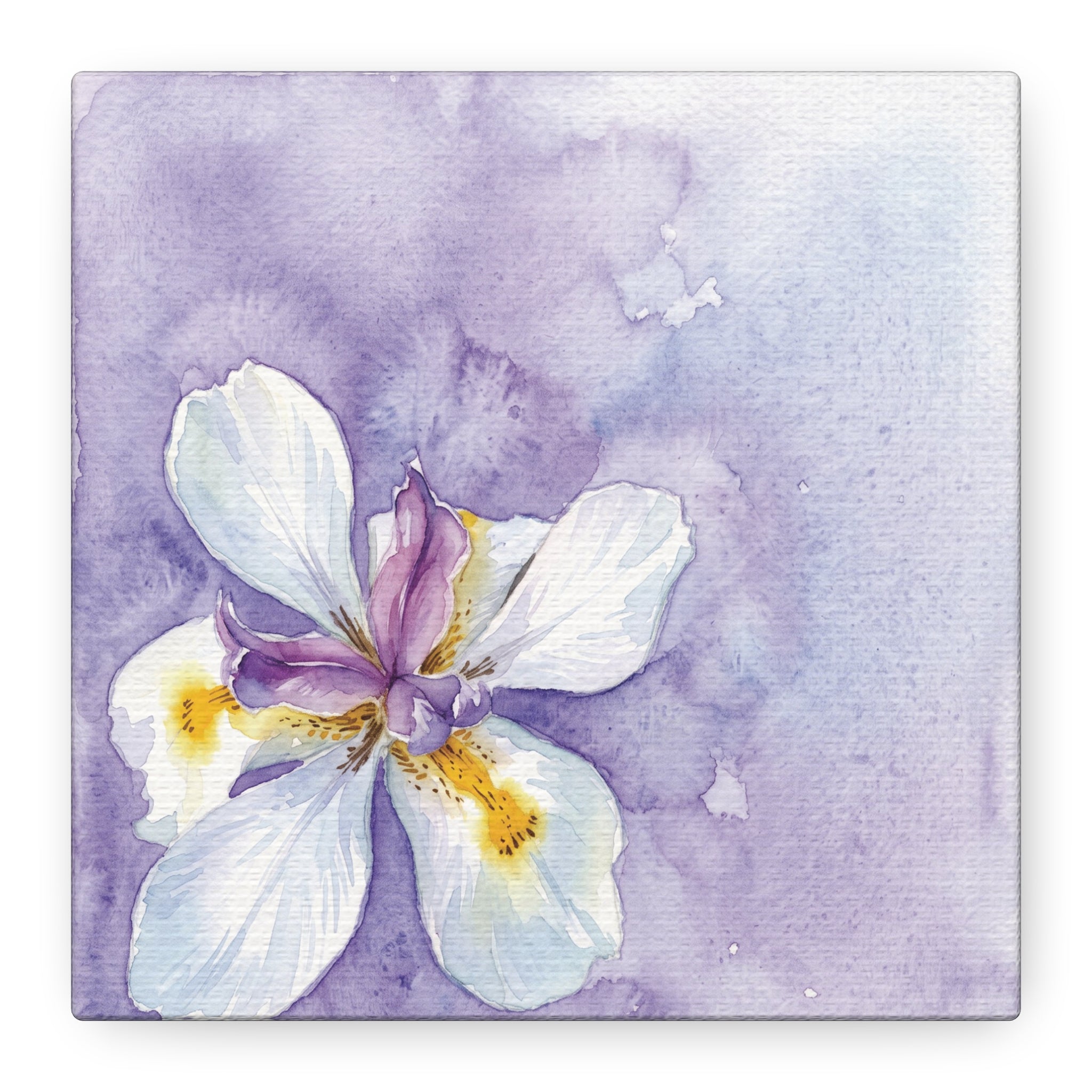 Watercolor Iris Canvas Wall Art - Purple Floral Stretch