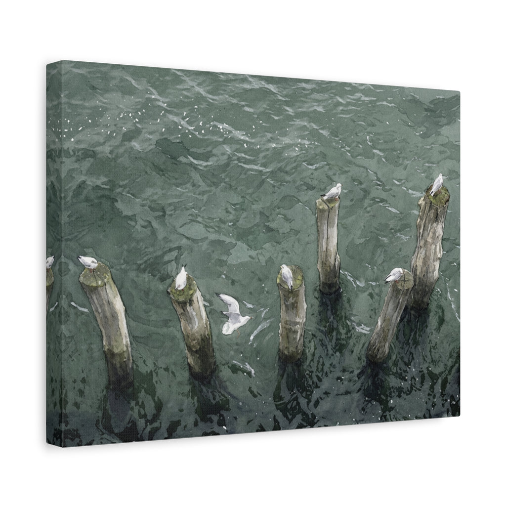 Seagulls on Weathered Pilings Matte Stretched Canvas