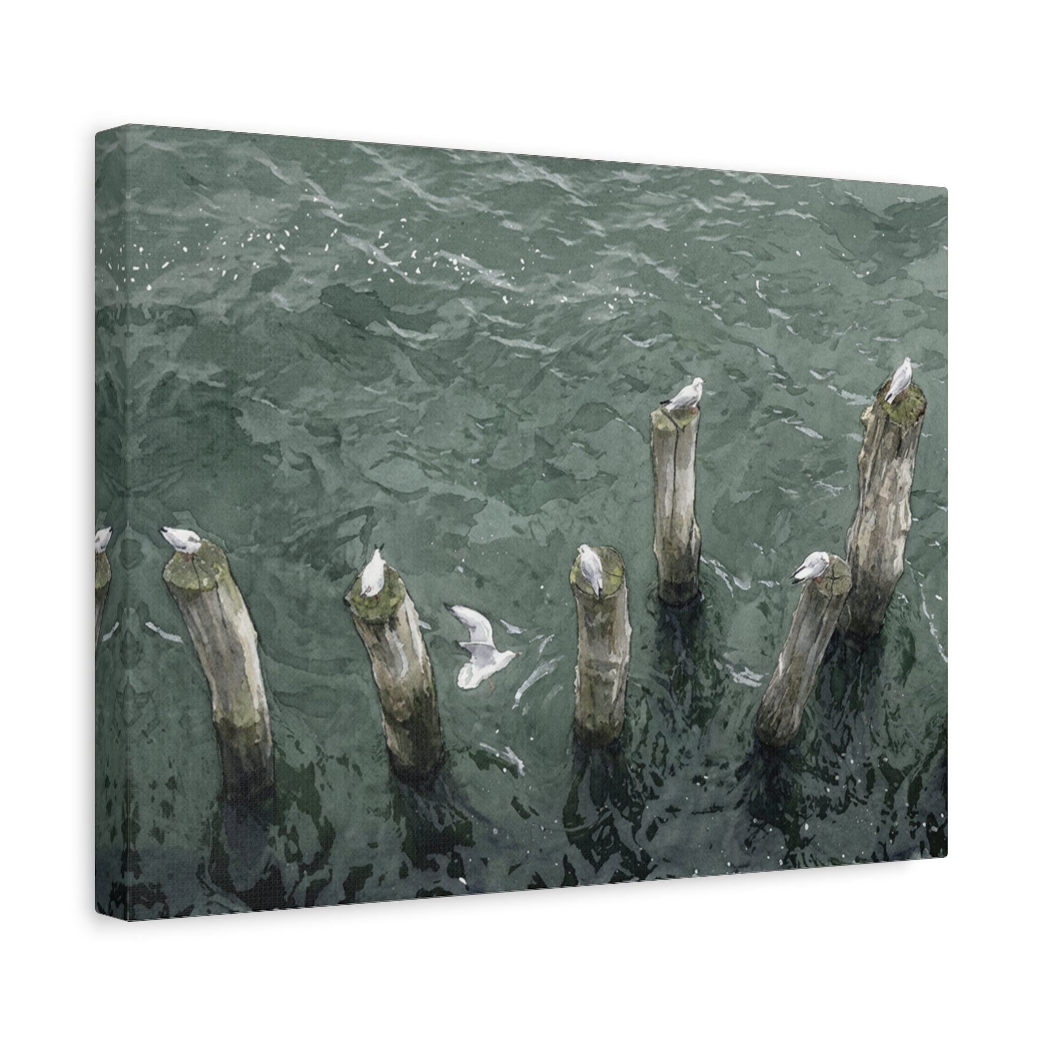 Seagulls on Weathered Pilings Matte Stretched Canvas