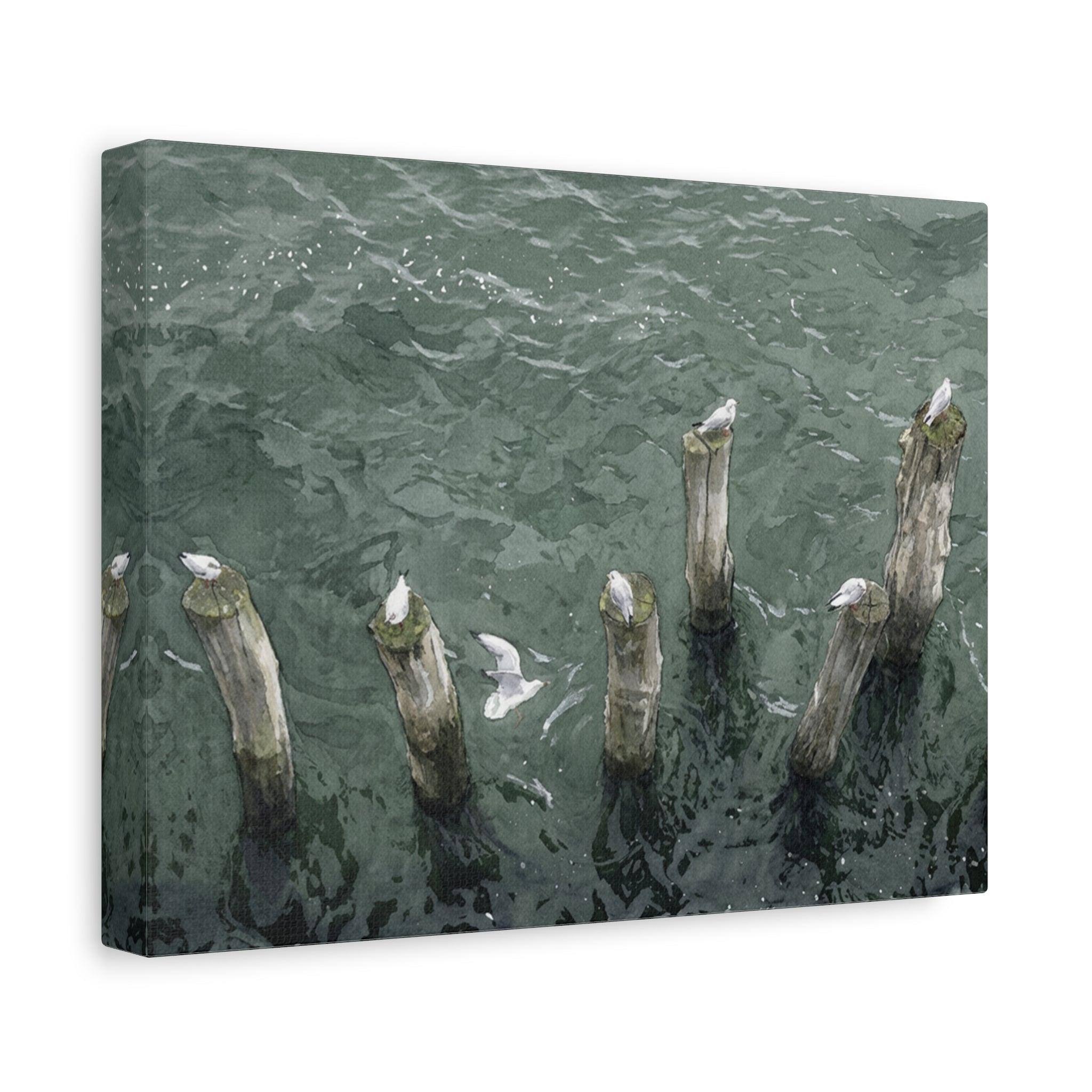 Seagulls on Weathered Pilings Matte Stretched Canvas