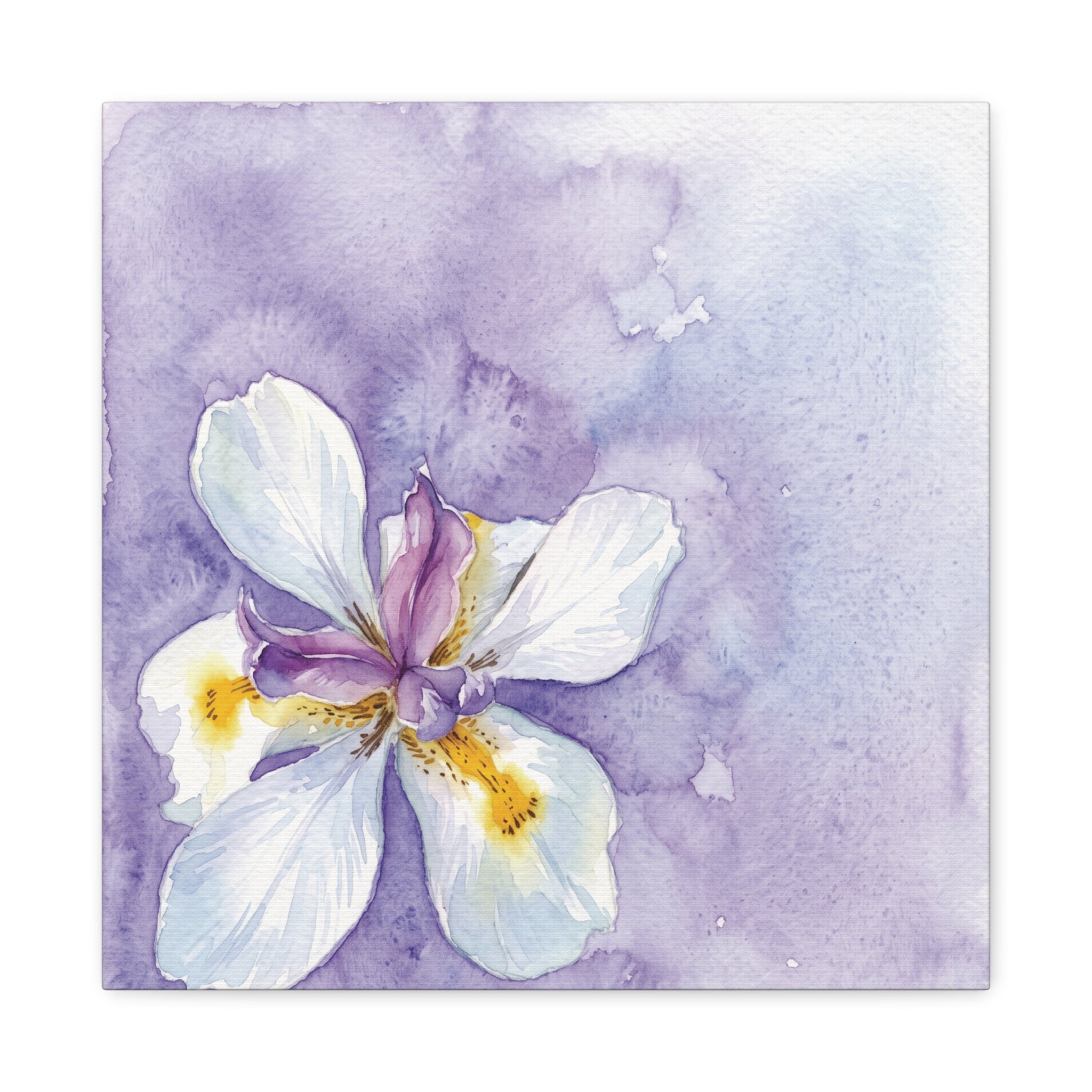 Watercolor Iris Canvas Wall Art - Purple Floral Stretch