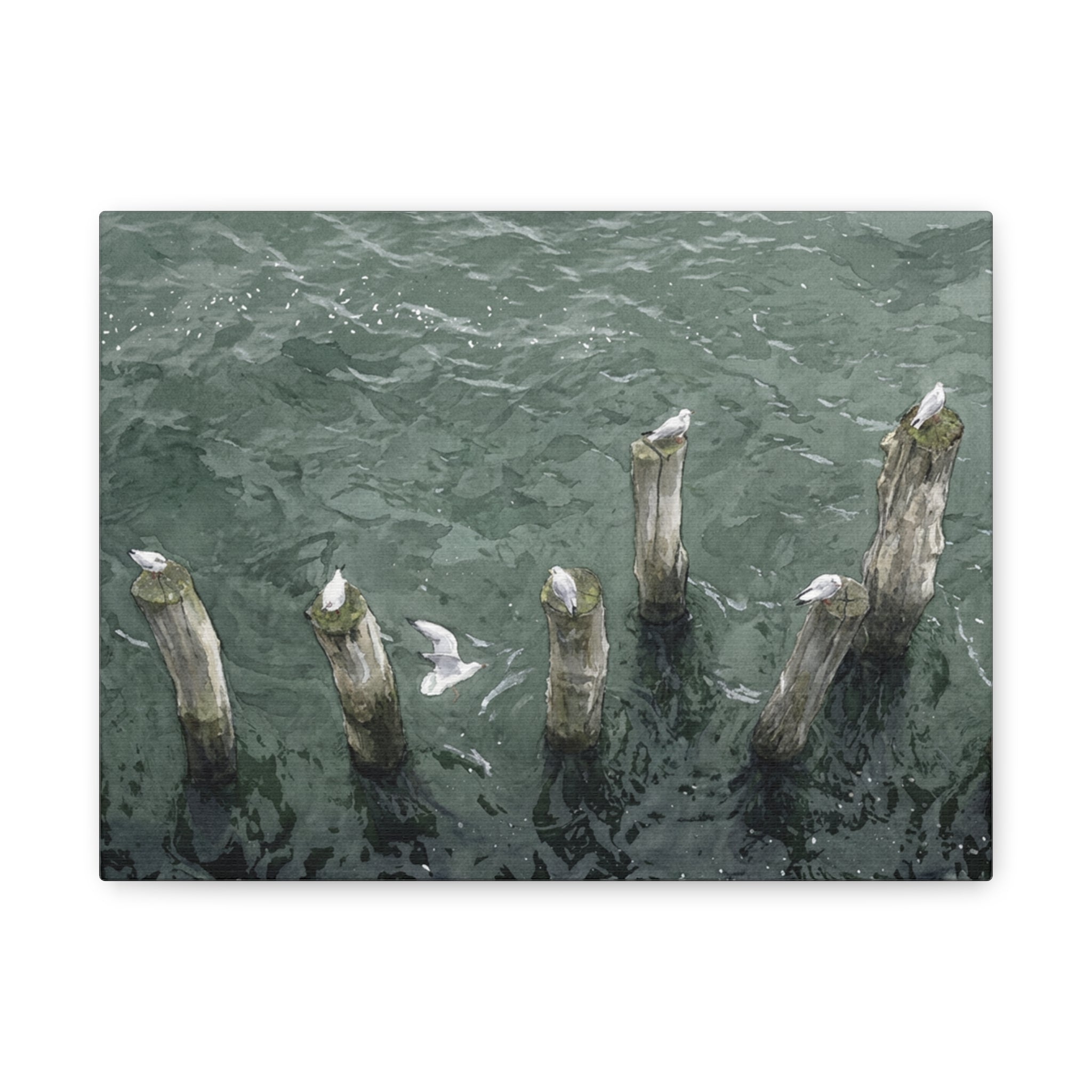 Seagulls on Weathered Pilings Matte Stretched Canvas