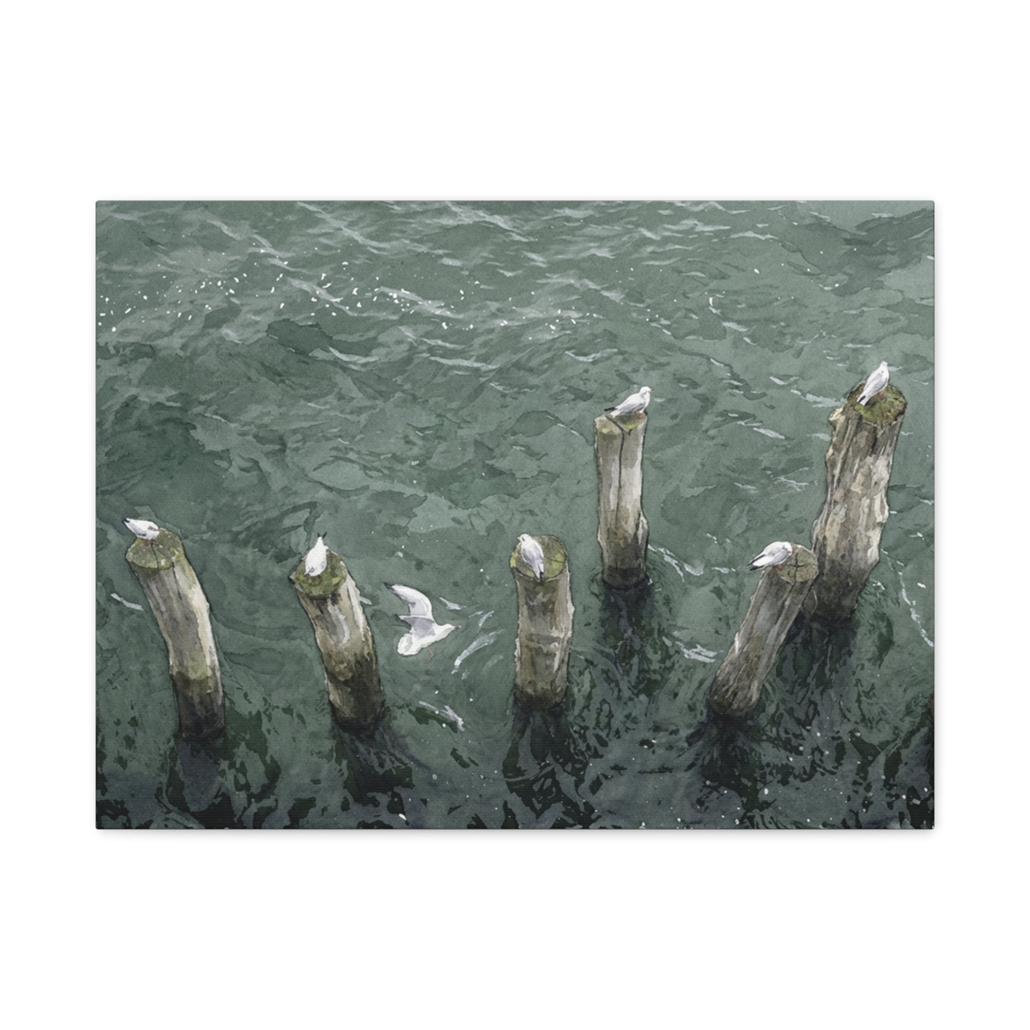Seagulls on Weathered Pilings Matte Stretched Canvas