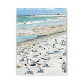 Bird Beach Canvas Print — Matte Stretched Coastal Wall Art