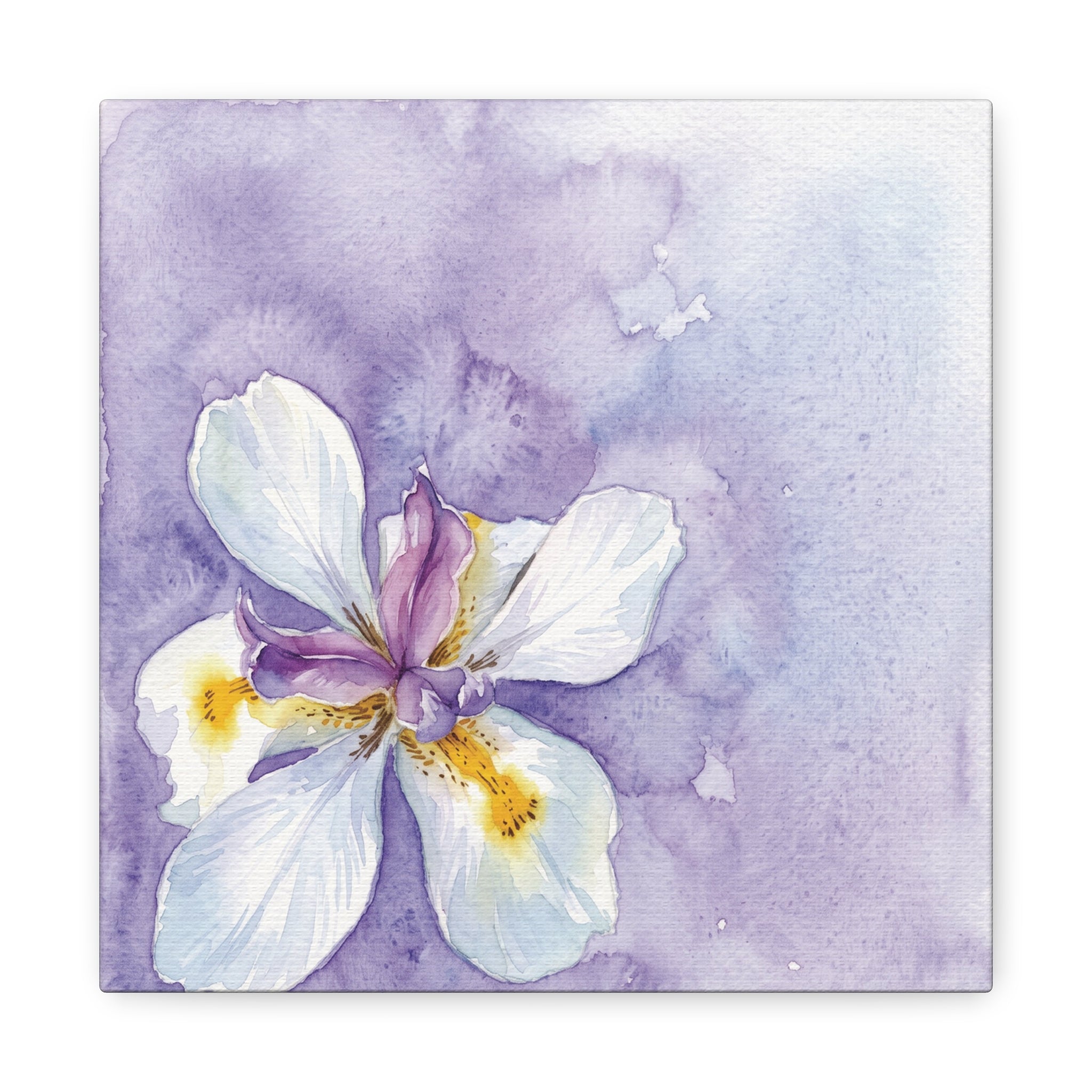 Watercolor Iris Canvas Wall Art - Purple Floral Stretch