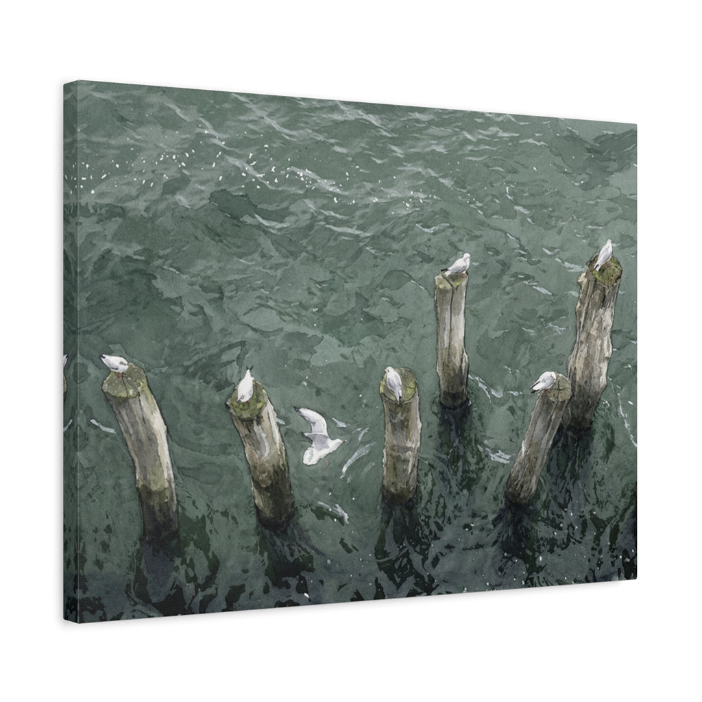Seagulls on Weathered Pilings Matte Stretched Canvas
