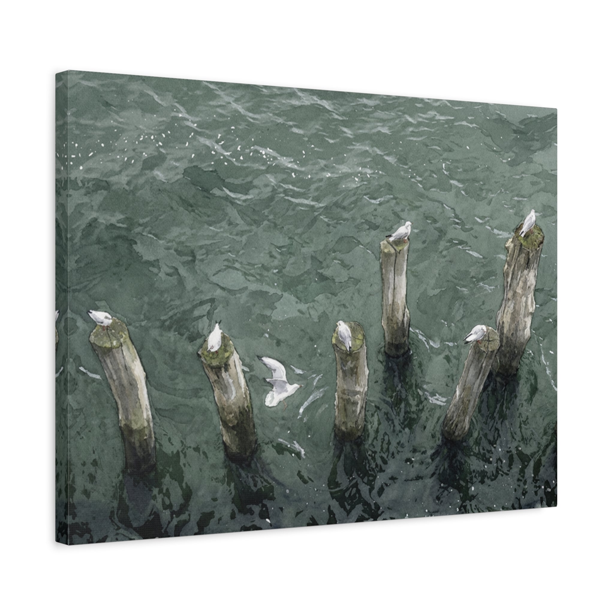 Seagulls on Weathered Pilings Matte Stretched Canvas