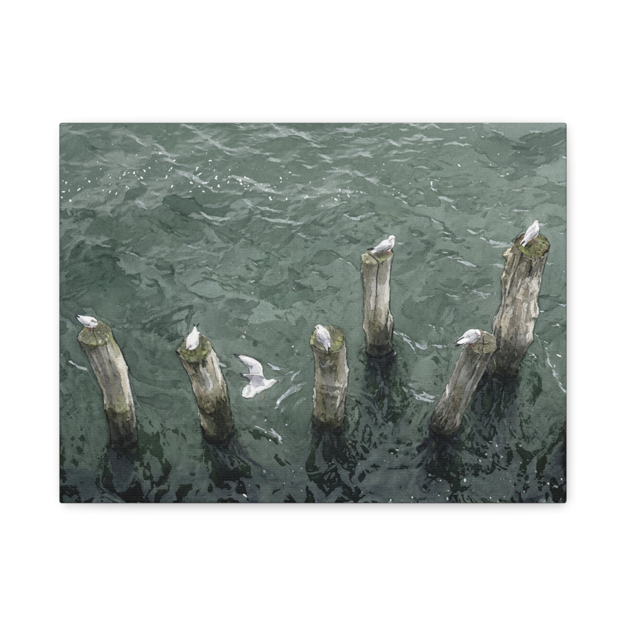 Seagulls on Weathered Pilings Matte Stretched Canvas